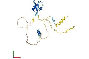 AlphaFold protein structure predicition of Human Recombinant LYSMD1 Protein, UniprotID Q96S90