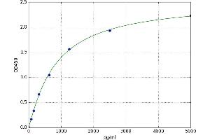 Proline Dehydrogenase (Oxidase) 1 (PRODH) ELISA Kit