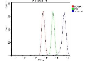 Flow Cytometry analysis of U87 cells using anti-SCAMP1 antibody (ABIN7599176).