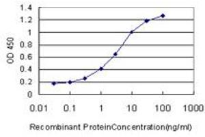 Detection limit for recombinant GST tagged CYTH2 is approximately 0. (Cytohesin 2 anticorps  (AA 314-398))
