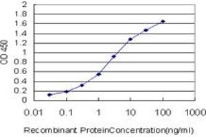 Detection limit for recombinant GST tagged FOXM1 is approximately 0. (FOXM1 anticorps  (AA 702-801))