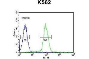 AKR1C3 Antibody (N-term) flow cytometric analysis of K562 cells (right histogram) compared to a negative control cell (left histogram). (AKR1C3 anticorps  (N-Term))