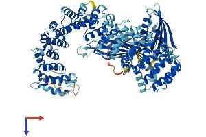 AlphaFold protein structure predicition of Human Recombinant COPG2 Protein, UniprotID Q9UBF2