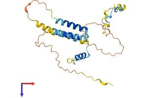 AlphaFold protein structure predicition of Mouse Recombinant Sertad1 Protein, UniprotID Q9JL10