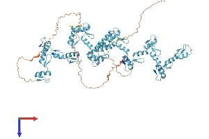 AlphaFold protein structure predicition of Human Recombinant ZNF184 Protein, UniprotID Q99676