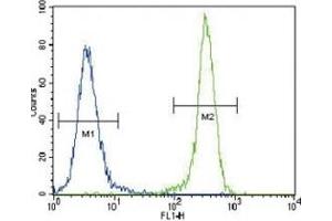 Anti-E Cadherin antibody flow cytometric analysis of 293 cells (right histogram) compared to a negative control cell (left histogram).
