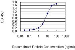 Detection limit for recombinant GST tagged TAGLN3 is 0. (Transgelin 3 anticorps  (AA 1-199))