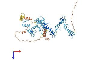 AlphaFold protein structure predicition of Human Recombinant ZNF727 Protein, UniprotID A8MUV8