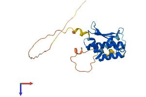AlphaFold protein structure predicition of Mouse Recombinant Atp23 Protein, UniprotID Q9CWQ3