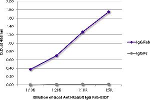 ELISA plate was coated with purified rabbit IgG Fab and IgG Fc. (Chèvre anti-Lapin IgG (Fab Region) Anticorps (Biotin))