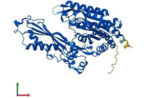 AlphaFold protein structure predicition of Mouse Recombinant Cndp1 Protein, UniprotID Q8BUG2
