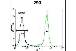 OTUD6B Antibody (C-term) (ABIN651994 and ABIN2840487) flow cytometric analysis of 293 cells (right histogram) compared to a negative control cell (left histogram).