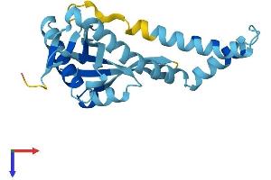 AlphaFold protein structure predicition of Mouse Recombinant Nat14 Protein, UniprotID Q8BVG8