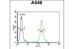 T Antibody (C-term) (ABIN654955 and ABIN2844595) flow cytometric analysis of A549 cells (right histogram) compared to a negative control cell (left histogram). (TMEM168 anticorps  (C-Term))