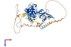 AlphaFold protein structure predicition of Mouse Recombinant Grb10 Protein, UniprotID Q60760