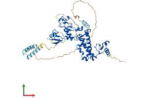 AlphaFold protein structure predicition of Mouse Recombinant Def8 Protein, UniprotID Q99J78