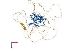 AlphaFold protein structure predicition of Mouse Recombinant Irf2bpl Protein, UniprotID Q8K3X4