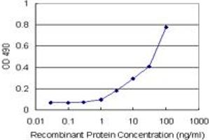 Sandwich ELISA detection sensitivity ranging from 1 ng/mL to 100 ng/mL. (SFTPD (Humain) Matched Antibody Pair)