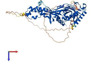 AlphaFold protein structure predicition of Human Recombinant FBXO31 Protein, UniprotID Q5XUX0