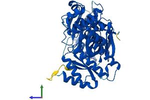 AlphaFold protein structure predicition of Human Recombinant GALK2 Protein, UniprotID Q01415