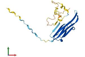 AlphaFold protein structure predicition of Human Recombinant CRYAB Protein, UniprotID P02511
