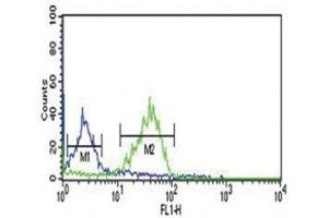 WNT1 antibody flow cytometric analysis of MCF-7 cells (green) compared to a negative control (blue).