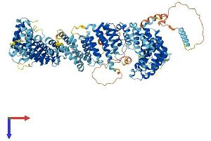 AlphaFold protein structure predicition of Mouse Recombinant Tti1 Protein, UniprotID Q91V83