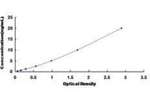 Integrin alpha M (ITGAM) ELISA Kit