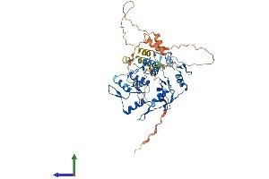 AlphaFold protein structure predicition of Human Recombinant ZIK1 Protein, UniprotID Q3SY52