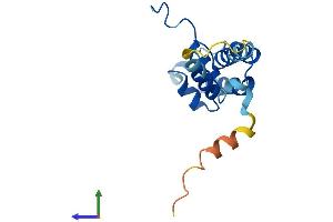 AlphaFold protein structure predicition of Human Recombinant CRCP Protein, UniprotID O75575