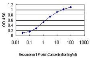 Detection limit for recombinant GST tagged BTF3 is approximately 0.