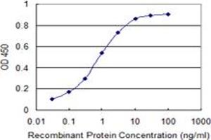 Detection limit for recombinant GST tagged RELA is 0.