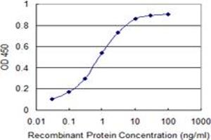Detection limit for recombinant GST tagged RELA is 0. (NF-kB p65 anticorps  (AA 432-505))