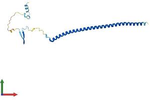 AlphaFold protein structure predicition of Human Recombinant STMN4 Protein, UniprotID Q9H169