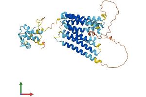 AlphaFold protein structure predicition of Human Recombinant SLC39A8 Protein, UniprotID Q9C0K1
