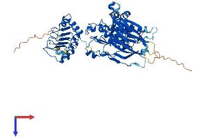 AlphaFold protein structure predicition of Mouse Recombinant Cnot6l Protein, UniprotID Q8VEG6