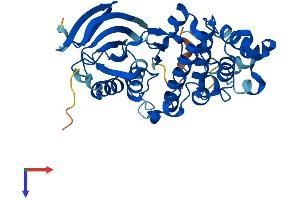 AlphaFold protein structure predicition of Human Recombinant MAPK11 Protein, UniprotID Q15759