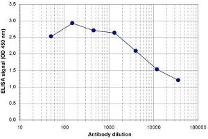 ELISA of anti-SOX4 antibody ELISA results of Rabbit anti-SOX4 antibody.