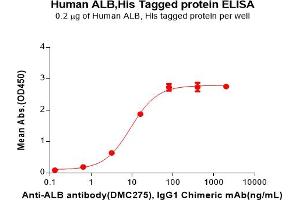 Albumin (ALB) (AA 25-609) protein (His tag)