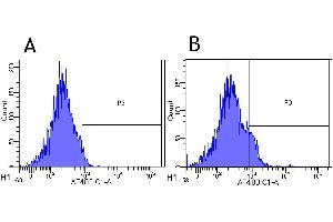 Flow-cytometry using anti-CD25 antibody Basiliximab   Rhesus monkey lymphocytes were stained with an isotype control (panel A) or the rabbit-chimeric version of Basiliximab ( panel B) at a concentration of 1 µg/ml for 30 mins at RT. (Recombinant IL2RA (Basiliximab Biosimilar) anticorps)