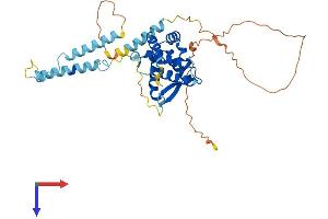 AlphaFold protein structure predicition of Human Recombinant SNAPC1 Protein, UniprotID Q16533