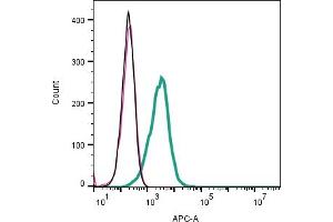 Cell surface detection of CD157 by indirect flow cytometry in live intact mouse J774 macrophage cell line: + goat-anti-rabbit-APC. (BST1 anticorps  (Extracellular))