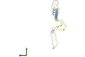 AlphaFold protein structure predicition of Human Recombinant TRAT1 Protein, UniprotID Q6PIZ9