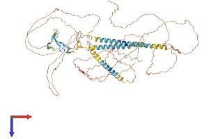 AlphaFold protein structure predicition of Mouse Recombinant Nrg3 Protein, UniprotID O35181