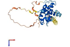 AlphaFold protein structure predicition of Mouse Recombinant Bcl2 Protein, UniprotID P10417