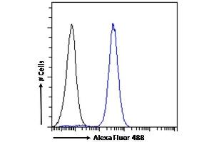 (ABIN768541) Flow cytometric analysis of paraformaldehyde fixed U251 cells (blue line), permeabilized with 0.