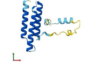 AlphaFold protein structure predicition of Mouse Recombinant Lyrm1 Protein, UniprotID Q9CQB7