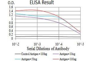 Black line: Control Antigen (100 ng);Purple line: Antigen (10ng); Blue line: Antigen (50 ng); Red line:Antigen (100 ng)