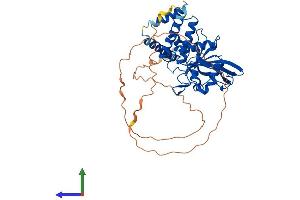 AlphaFold protein structure predicition of Human Recombinant PTPN18 Protein, UniprotID Q99952