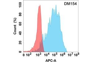 Flow cytometry analysis with Anti-FAP (DM154) on Expi293 cells transfected with human FAP (Blue histogram) or Expi293 transfected with irrelevant protein (Red histogram). (FAP anticorps  (AA 30-760))